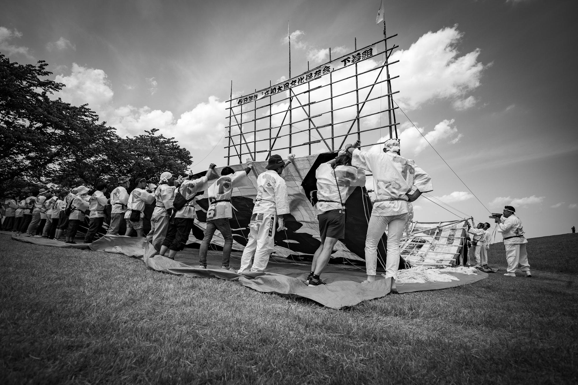 l1008434-2.jpg