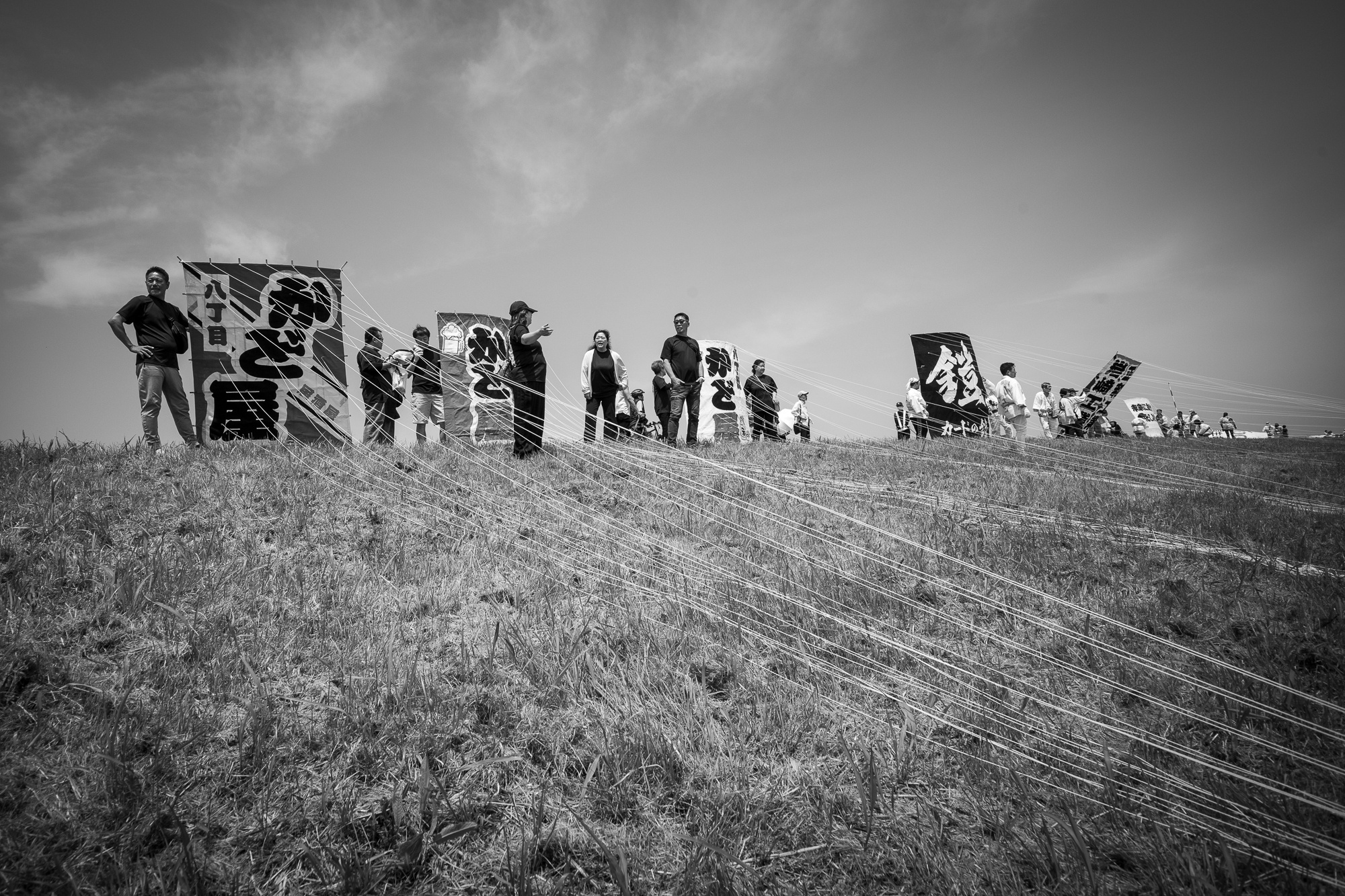 l1008303-2.jpg