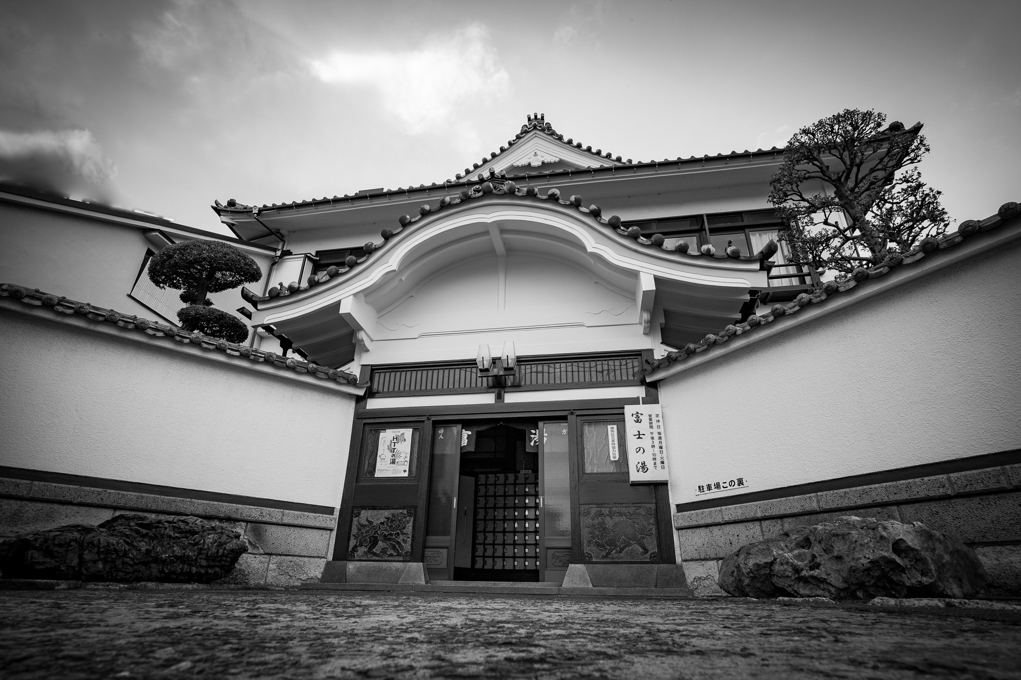 l1008916.jpg