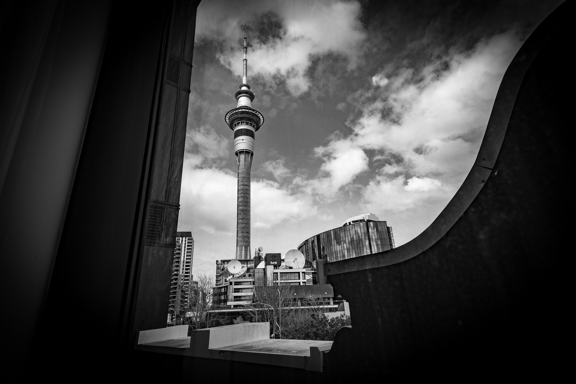 l1008797.jpg