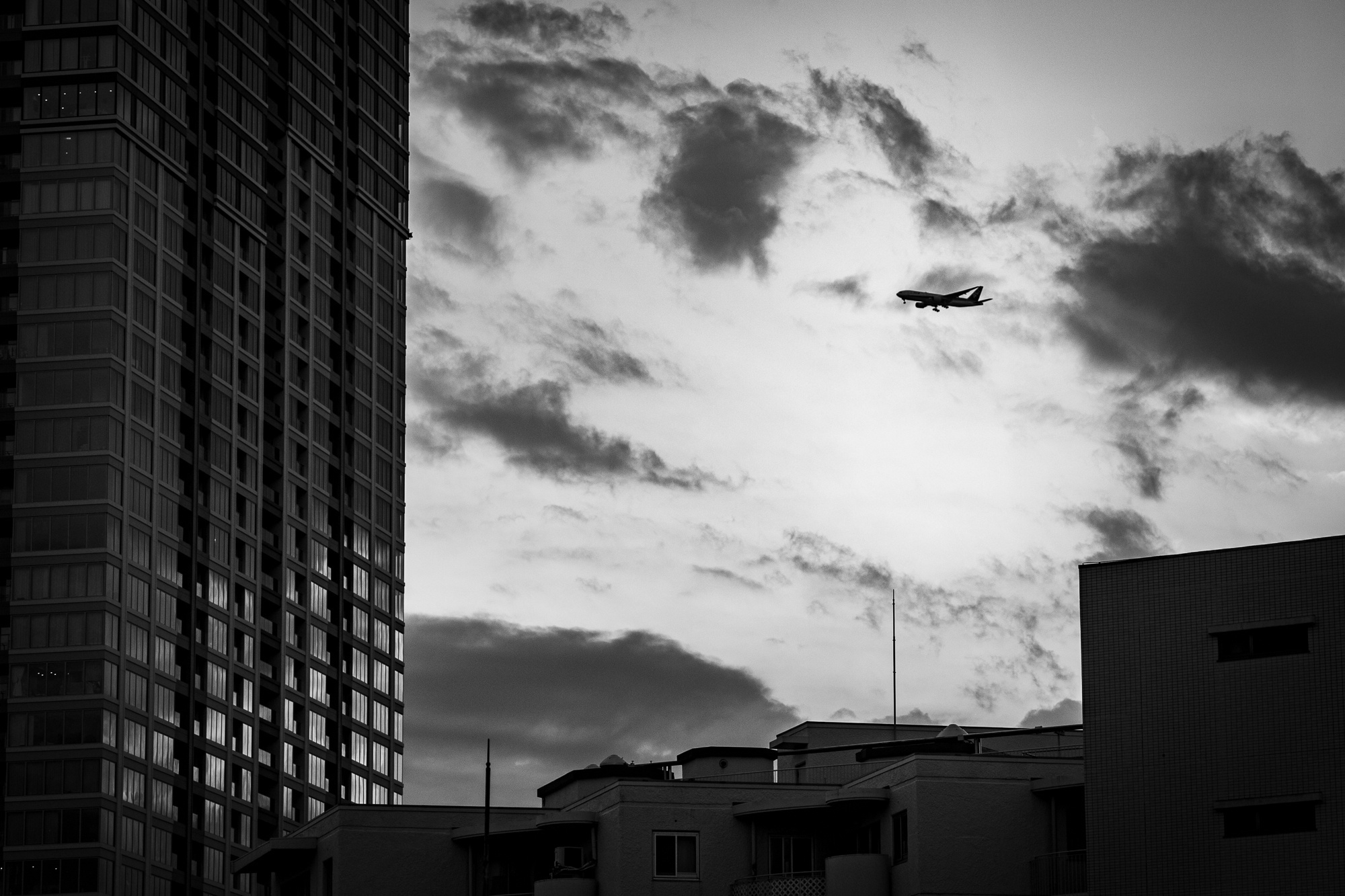 l1001227.jpg
