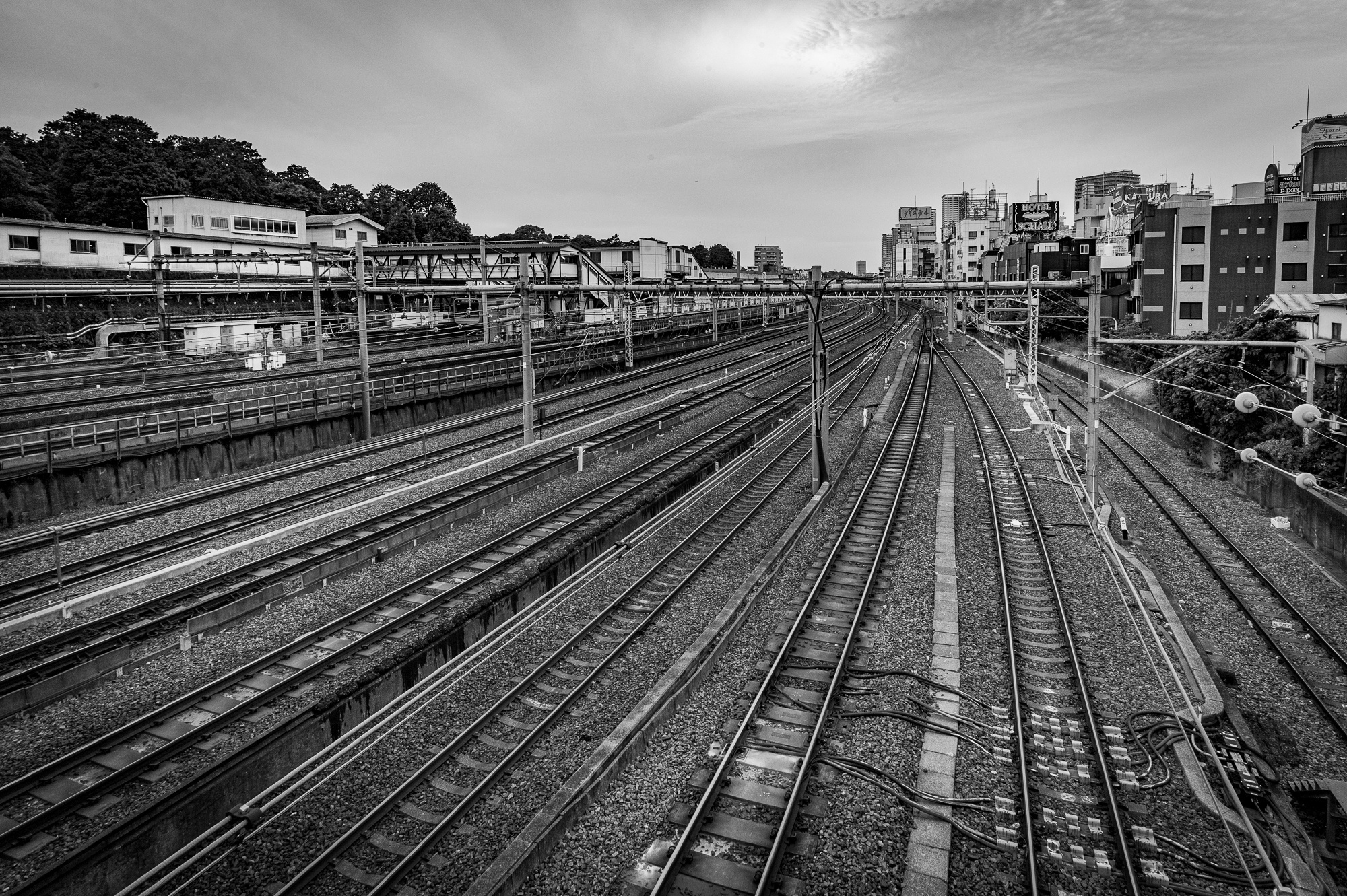 l1009197.jpg
