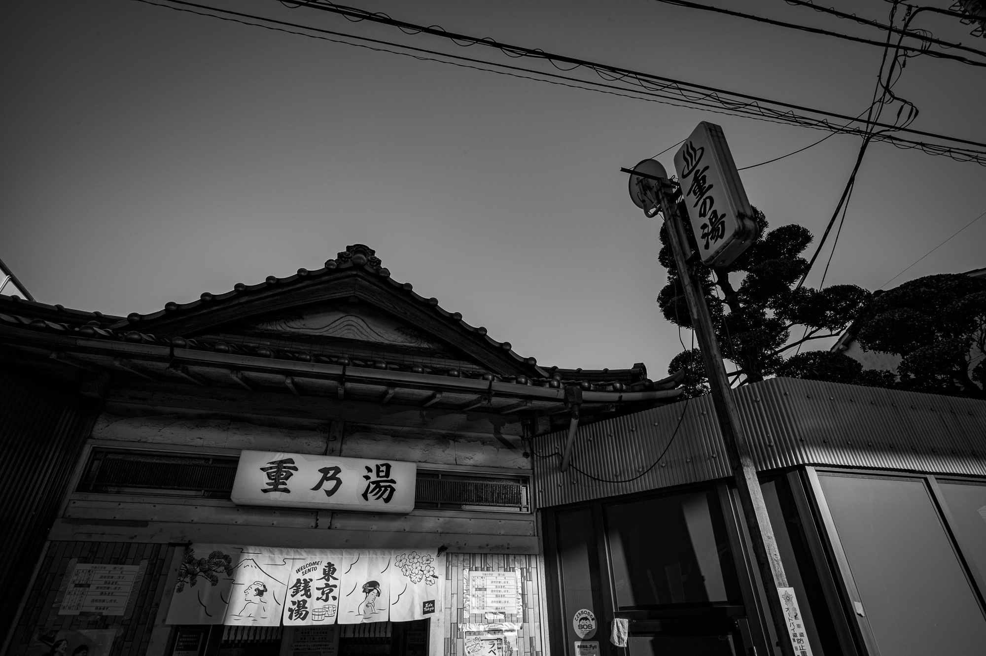l1009507.jpg