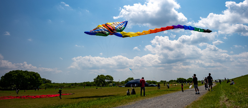 l1008340.jpg