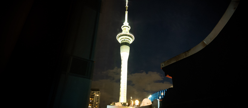 l1008880.jpg