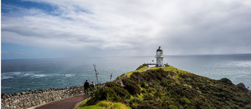 l1009514.jpg