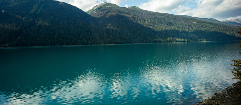 l1004759-3.jpg