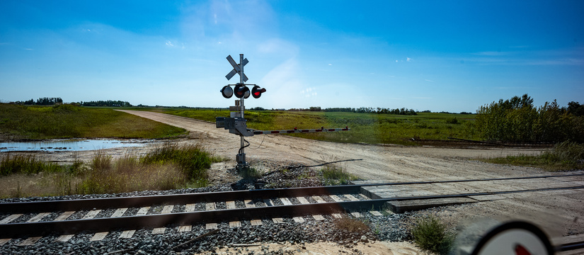 l1005083-2.jpg