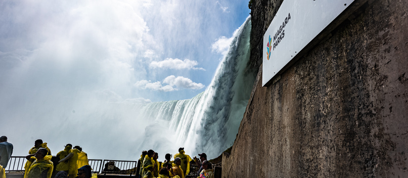 l1005668-2.jpg