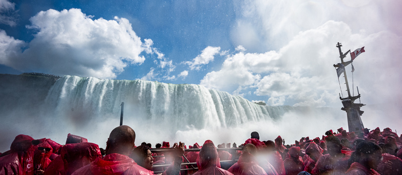 l1005929-2.jpg