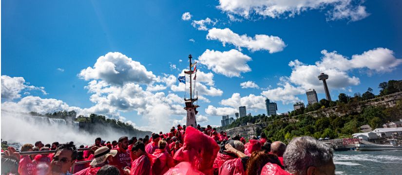 l1006019-2.jpg