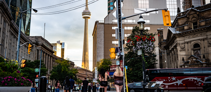 l1006241-2.jpg