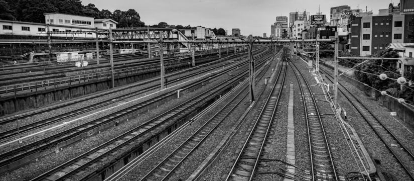 l1009197.jpg