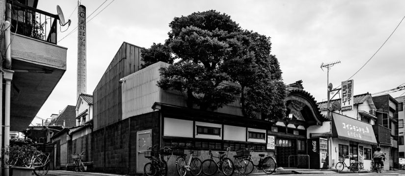 l1009232.jpg